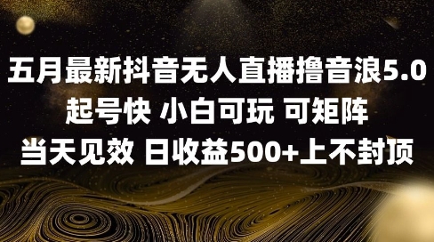 2025五月最新无人直播撸音浪单日产出5张+实操教程【揭秘】-资源V站