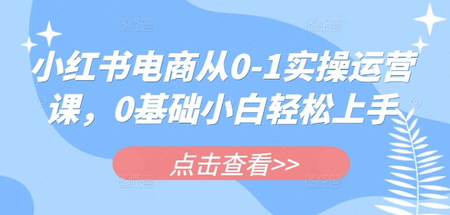 小红书电商从0-1实操运营课，0基础小白轻松上手-资源V站