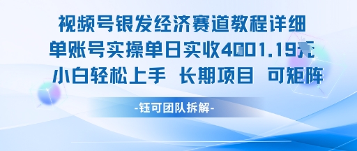 视频号银发经济赛道单账号实操单日实收1k+，小白轻松上手长期项目-资源V站