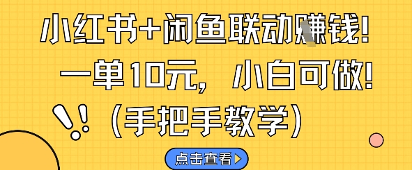 小红书+闲鱼联动挣钱，一单10元，小白可做-资源V站