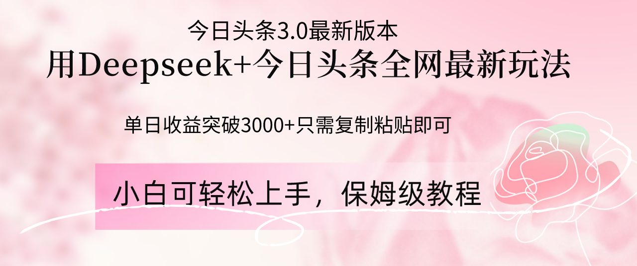 Deepseek结合今日头条全网最新玩法，单日收益突破3000+，只需要简单的…-资源V站