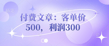 付费文章：客单价500，利润300-资源V站