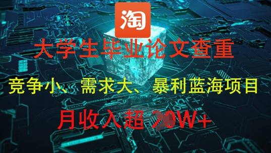 大学生毕业论文查重，暴利蓝海项目，月收入过1W+-资源V站