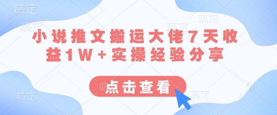 小说推文搬运大佬7天收益1W+实操经验分享-资源V站