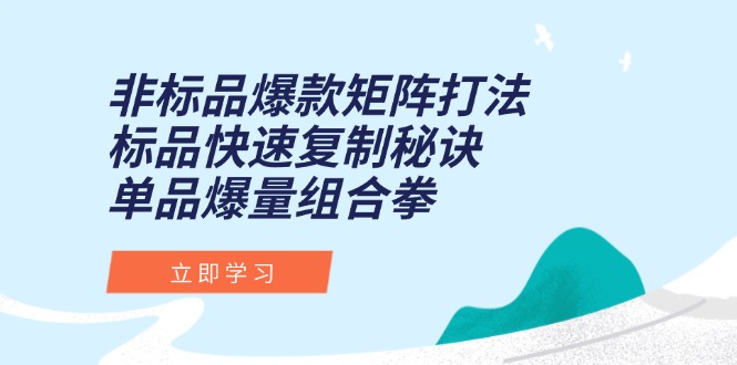 非标品爆款矩阵打法，标品快速复制秘诀，单品爆量组合拳-资源V站