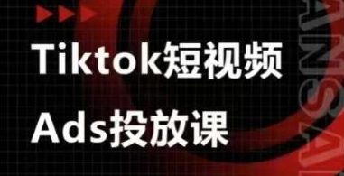 Ads视频投放课，tiktok短视频广告投放课-资源V站