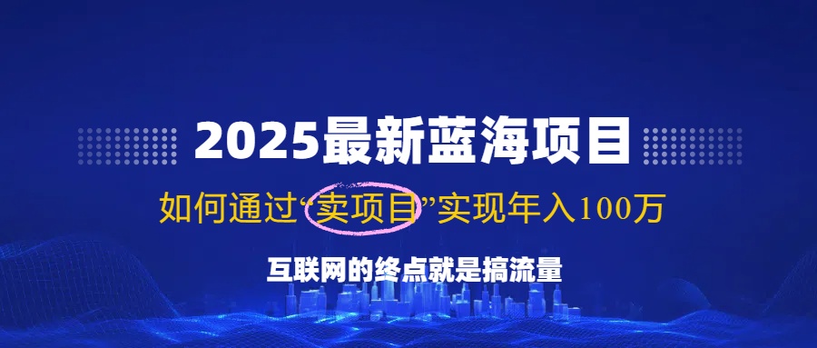 2025最新蓝海项目，零门槛轻松复制，月入10万+，新手也能操作！-资源V站