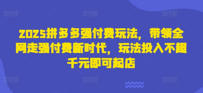 2025拼多多强付费玩法，带领全网走强付费新时代，玩法投入不超千元即可起店-资源V站