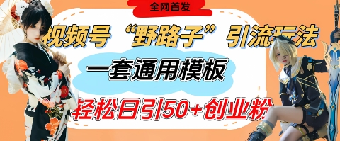 视频号“野路子”玩法，评论区疯狂截流，一套模板单日单号引流50+创业粉-资源V站