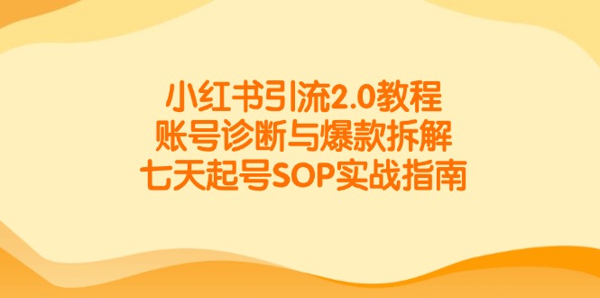 小红书引流2.0教程，账号诊断与爆款拆解，七天起号SOP实战指南-资源V站