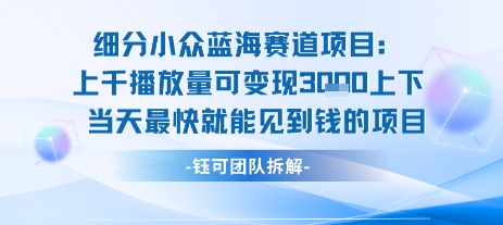 小众蓝海赛道项目：当天变现1k+适合新手操作 +适合长期玩-资源V站