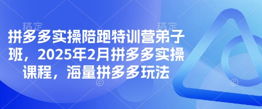 拼多多实操陪跑特训营弟子班，2025年2月拼多多实操课程，海量拼多多玩法-资源V站