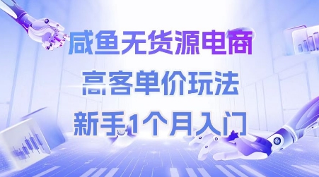 咸鱼无货源电商，高客单价玩法，新手1个月入门-资源V站