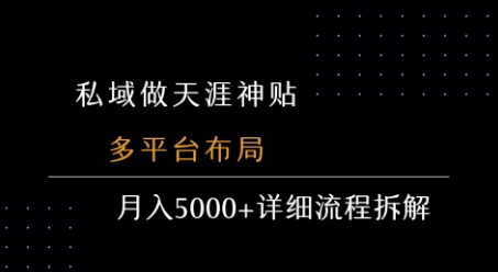 私域做天涯神贴 多平台布局 月入5k+详细流程拆解-资源V站