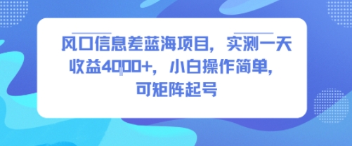 风口信息差蓝海项目，实测一天收益4k+，小白操作简单，可矩阵起号-资源V站