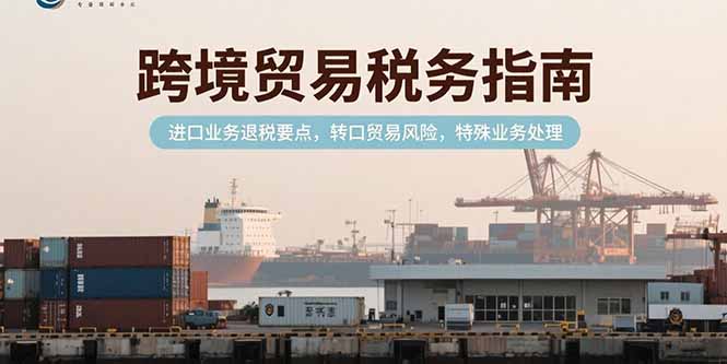 跨境贸易税务指南，进口业务退税要点，转口贸易风险，特殊业务处理-资源V站