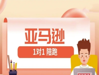 亚马逊1对1陪跑课(FBA/FBM精铺)跨境亚马逊教程-资源V站