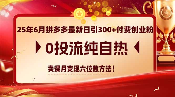 25年6月拼多多最新日引300+付费创业粉，0投流纯自热 卖课月变现六位数方法-资源V站