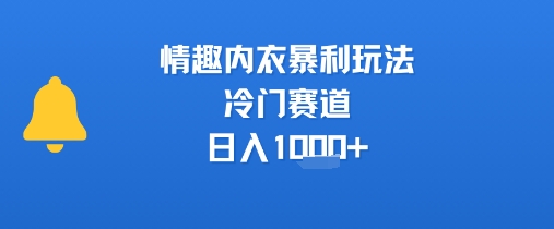 情趣内衣暴利玩法，冷门赛道，日入1k+-资源V站