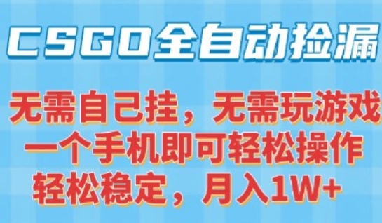 CSGO自动捡漏项目，最新独家玩法，一个手机可操作，新手小白轻松月入1W+，操作简单易上手【揭秘】-资源V站