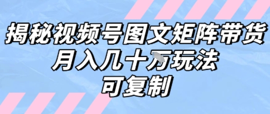 解密视频号图文矩阵带货，月入几个W的打法，可复制-资源V站