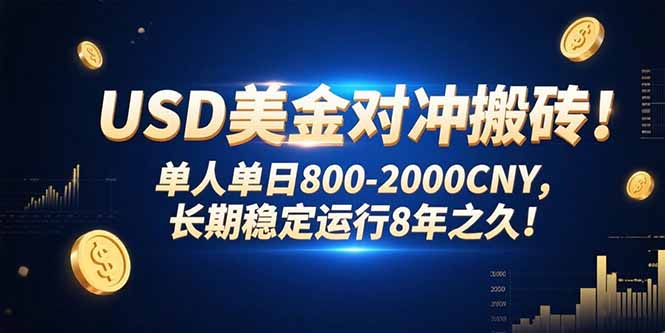 USD美金对冲搬砖!单人单日800-2000CNY，长期稳定运行8年之久!-资源V站